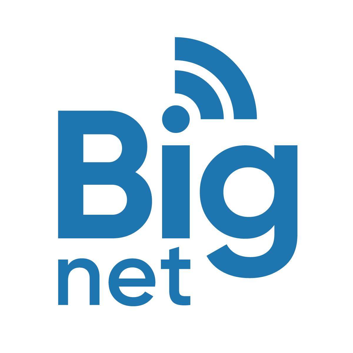 BigNet